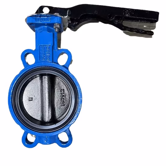 Wcb 304 316 JIS DIN ANSI Handle Manual Center Line Ductile Cast Iron SS304 PTFE Lined Seat Wafer Butterfly Valve