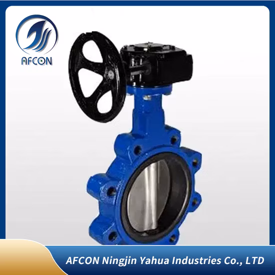 API/ANSI/DIN/JIS Cast Iron Lug Butterfly Valve with Soft Seat