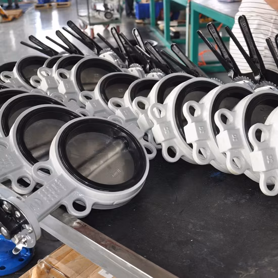 Cast Iron Wafer Type Butterfly Valve in Handle /Worm Gear