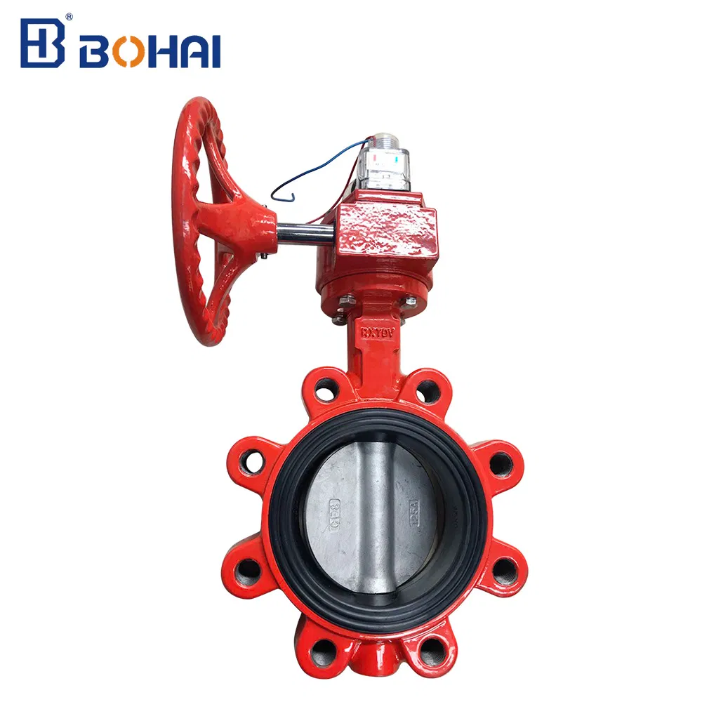 Lug/Wafer/Flange/Grooved End Type Butterfly Valve